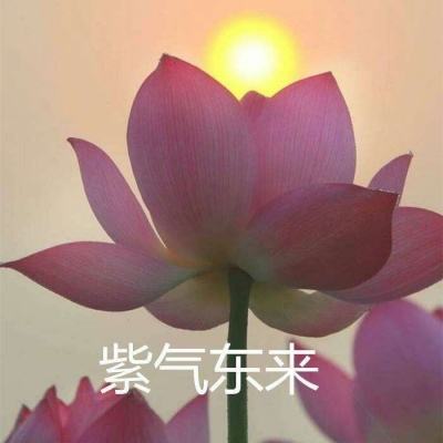 星际征霸最新版下载